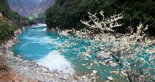 精灵的居住地